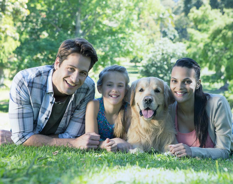 família feliz deitada na grama com cachorro