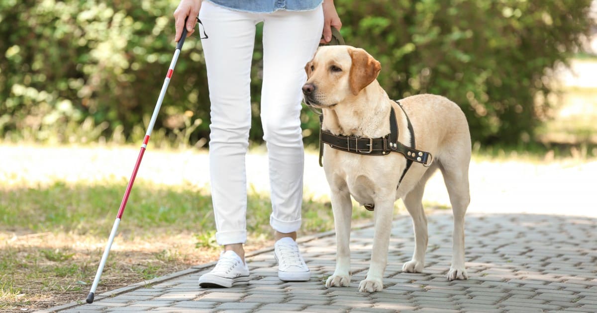 Moça cega sendo guiada por seu cão