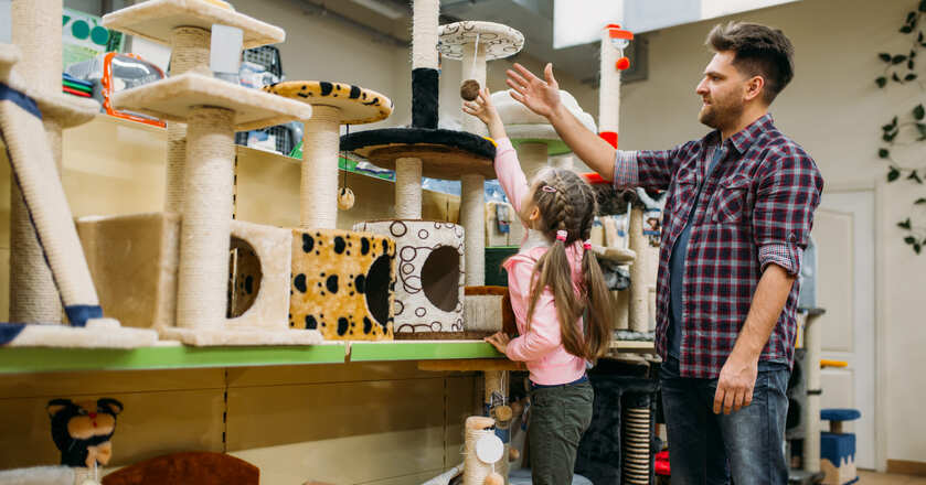 Gastos com animais de estimação Comprando brinquedos para animais de estimação