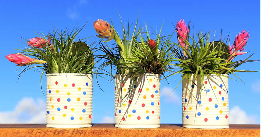 Upcycling vasos de planta DIY