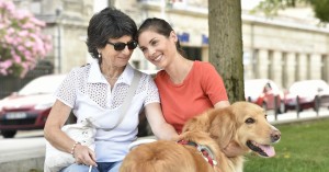 Descubra como funciona o seguro de invalidez permanente