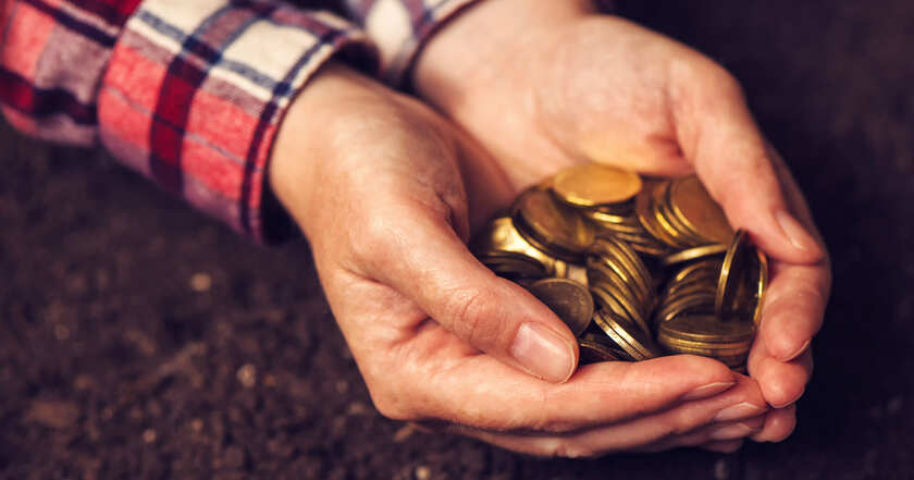 cooperativas de agronegócio Pessoa segurando moedas