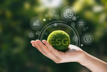 Entenda o que são os investimentos sustentáveis