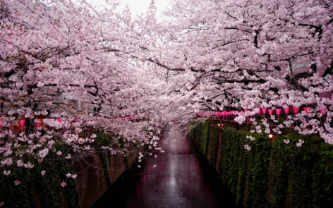Japão