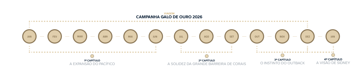 Linha do tempo da campanha